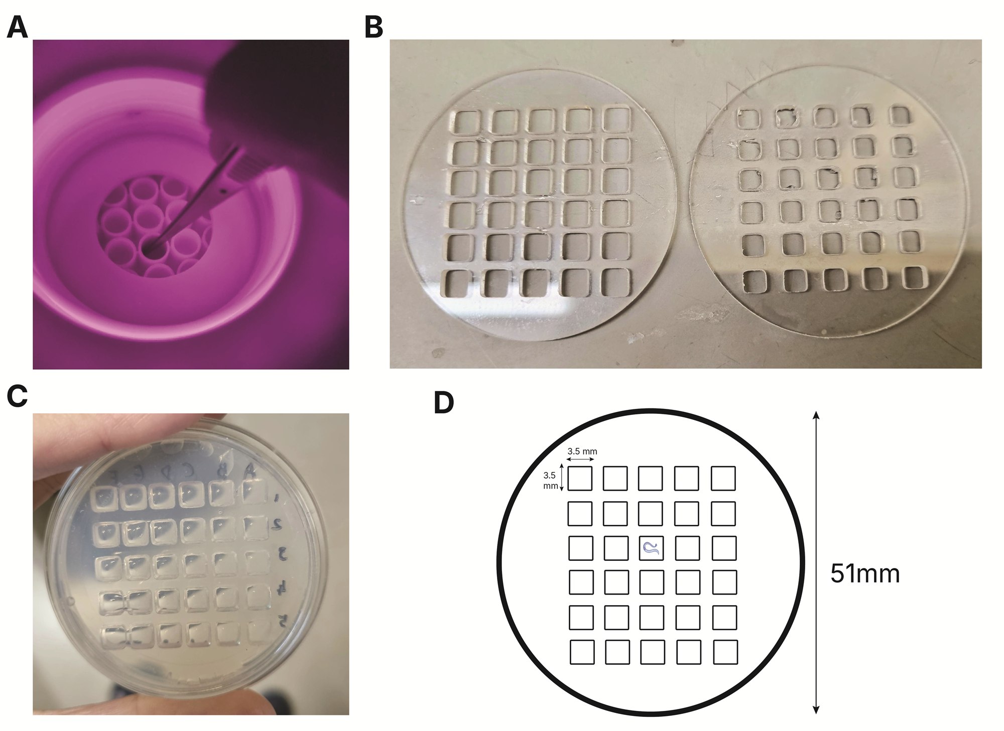 Iterations of the worm arena: a failed 96-well prototype, tests of different grid sizes and layouts, the chosen size for C. elegans, and the final schematic