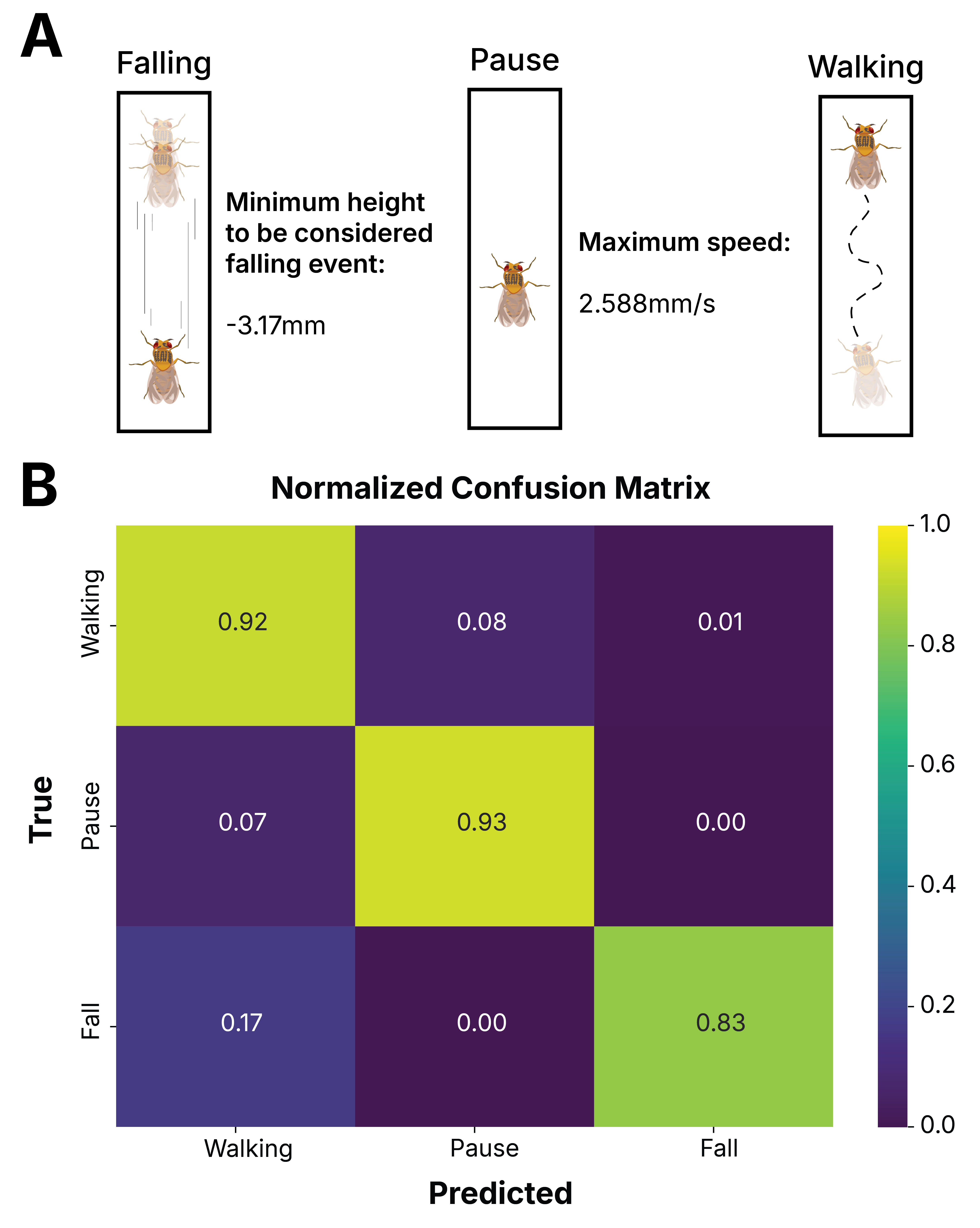 Behavioural event classification: (A) the three states falling, pause and walking with their thresholds; (B) a normalized confusion matrix showing 0.92 walking, 0.93 pause and 0.83 fall correctly classified