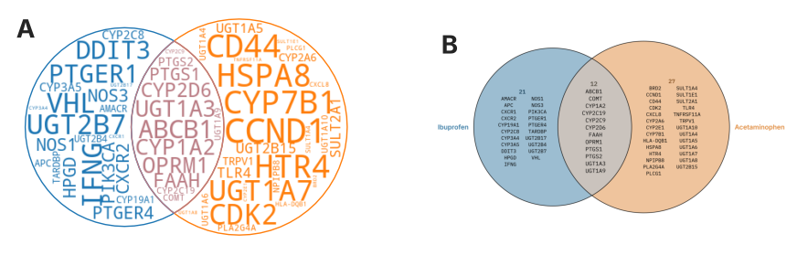 The same two-set overlap, itemized two ways. (A) matplotlib-set-diagrams draws a word cloud: the gene sizes vary wildly but carry no meaning, because each gene occurs once and the size only reflects the order the words were packed in. (B) VISET prints every gene at the same size in aligned columns, so the region reads like a list you can check name by name.