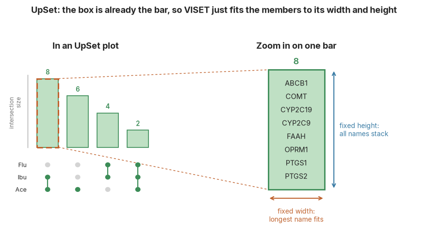 An UpSet bar is already a rectangle, so VISET just fits the members to its width and height.